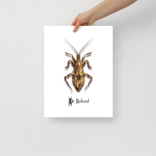 Poster Insecte punaise ornementale