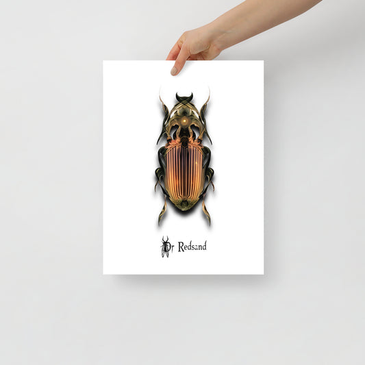 Poster Insecte Ornemental en couleur